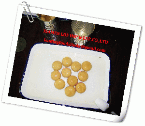 supply button whole mushroom in tin 